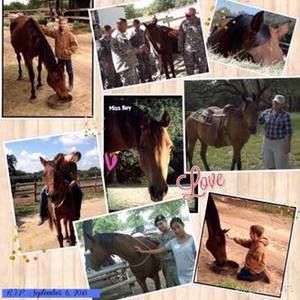 Meet your Posher, Renee